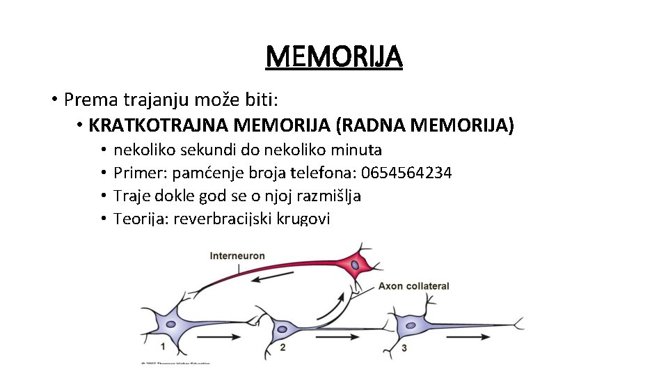 MEMORIJA • Prema trajanju može biti: • KRATKOTRAJNA MEMORIJA (RADNA MEMORIJA) • • nekoliko