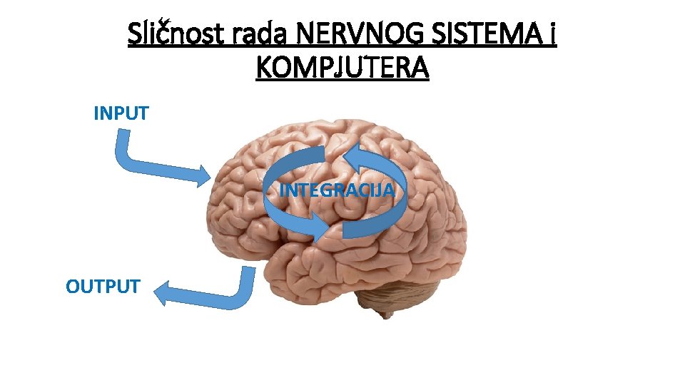 Sličnost rada NERVNOG SISTEMA i KOMPJUTERA INPUT INTEGRACIJA OUTPUT 