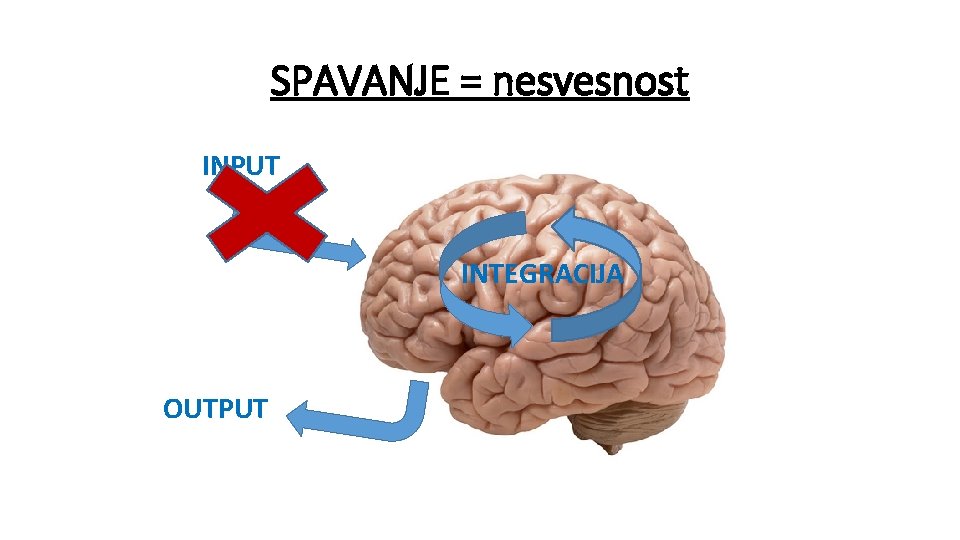 SPAVANJE = nesvesnost INPUT INTEGRACIJA OUTPUT 