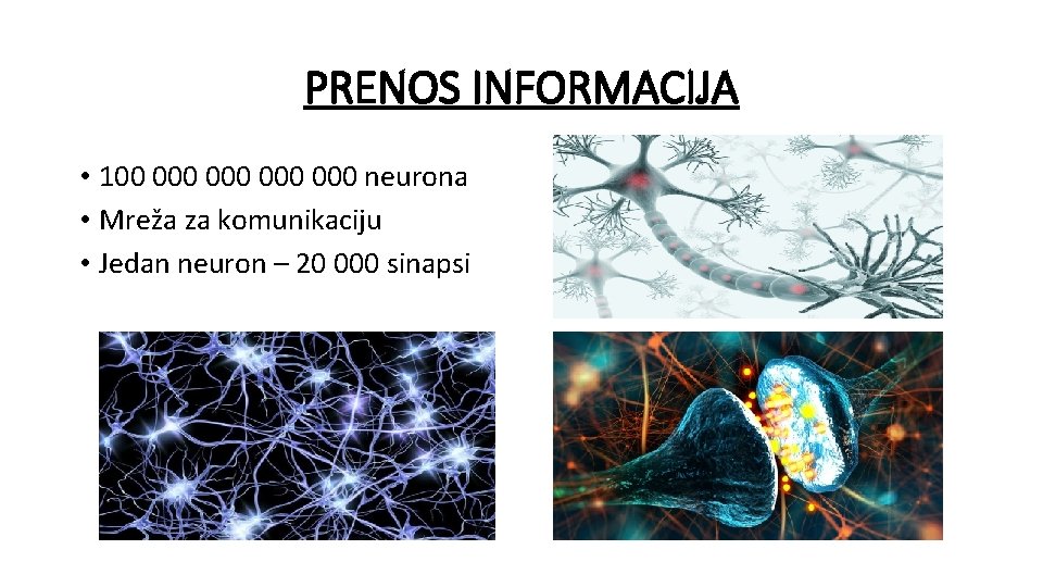 PRENOS INFORMACIJA • 100 000 000 neurona • Mreža za komunikaciju • Jedan neuron