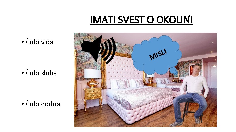 IMATI SVEST O OKOLINI • Čulo vida I L S MI • Čulo sluha