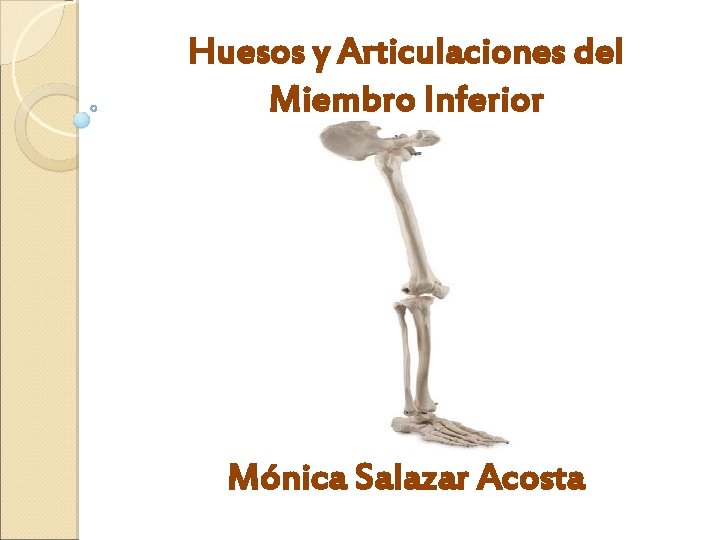 Huesos y Articulaciones del Miembro Inferior Mónica Salazar Acosta 