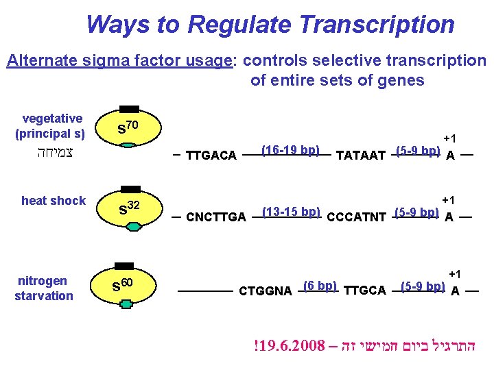 Ways to Regulate Transcription Alternate sigma factor usage: controls selective transcription of entire sets