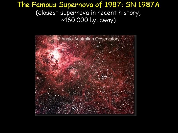 The Famous Supernova of 1987: SN 1987 A (closest supernova in recent history, ~160,