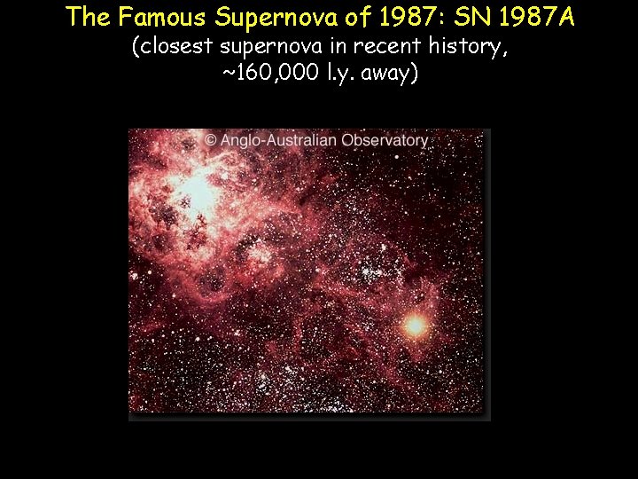 The Famous Supernova of 1987: SN 1987 A (closest supernova in recent history, ~160,