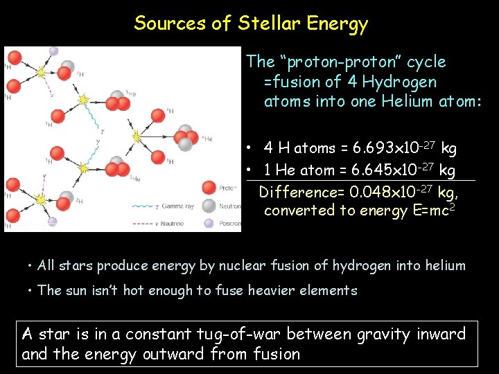 Sources of Stellar Energy The “proton-proton” cycle =fusion of 4 Hydrogen atoms into one