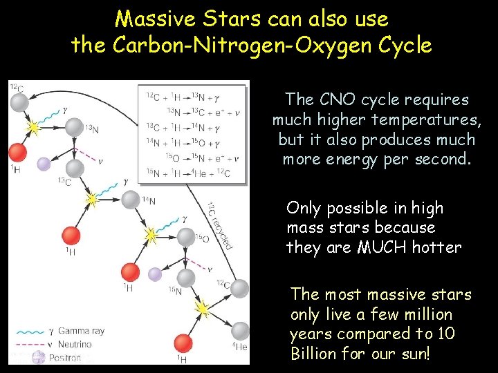 Massive Stars can also use the Carbon-Nitrogen-Oxygen Cycle The CNO cycle requires much higher