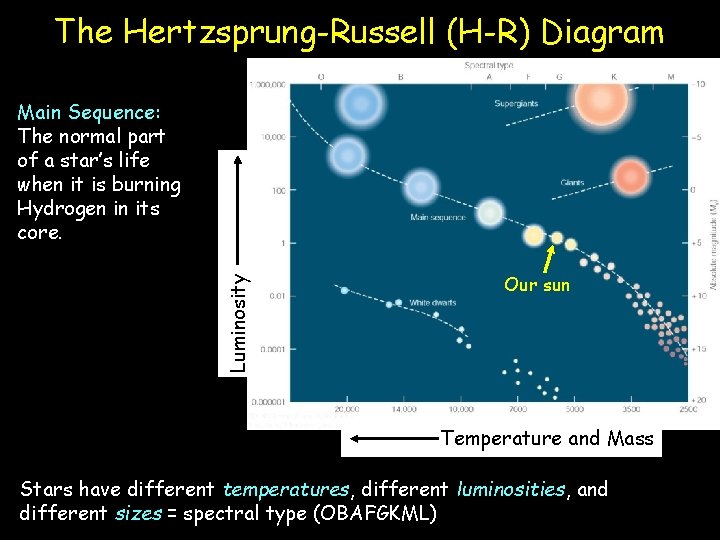 The Hertzsprung-Russell (H-R) Diagram Luminosity Main Sequence: The normal part of a star’s life