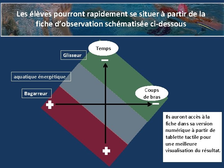 Les élèves pourront rapidement se situer à partir de la fiche d’observation schématisée ci-dessous