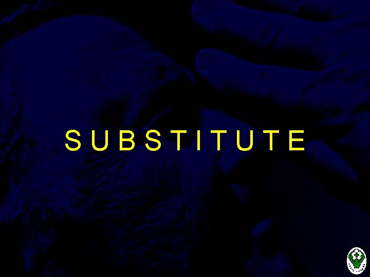 SUBSTITUTE 