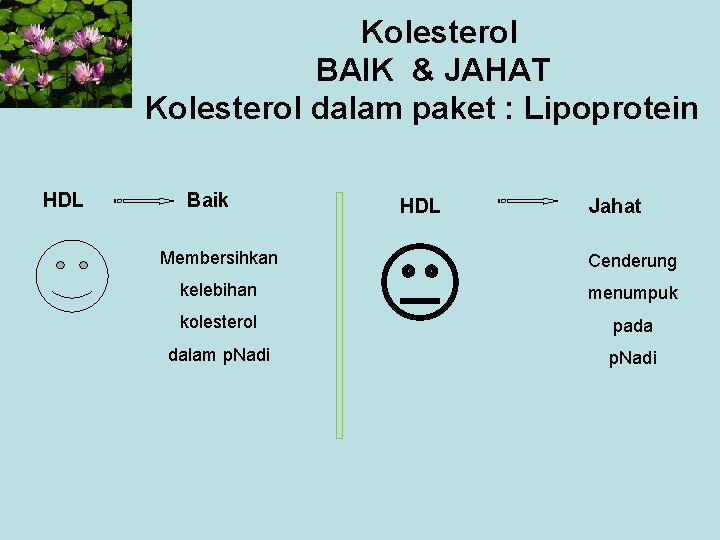 Kolesterol BAIK & JAHAT Kolesterol dalam paket : Lipoprotein HDL Baik HDL Jahat Membersihkan