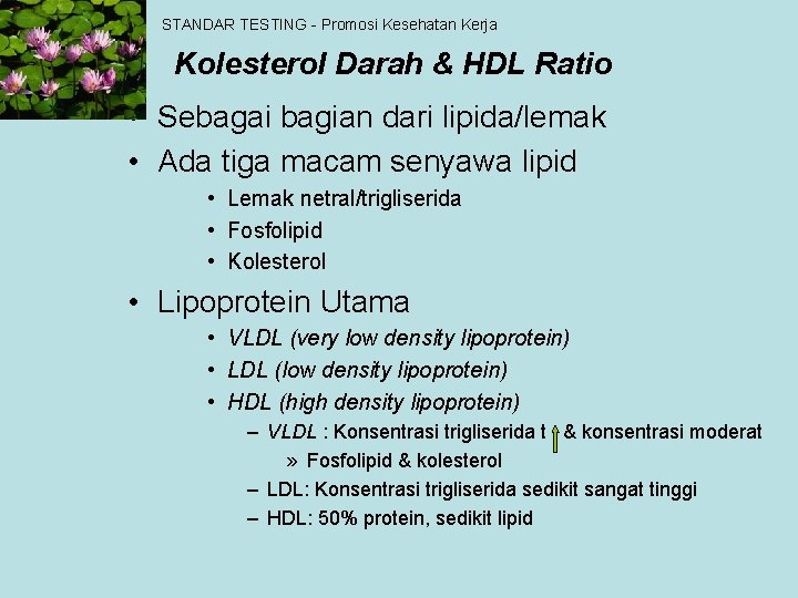 STANDAR TESTING - Promosi Kesehatan Kerja Kolesterol Darah & HDL Ratio • Sebagai bagian