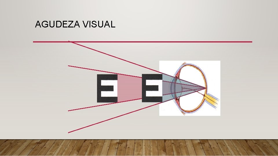 AGUDEZA VISUAL 