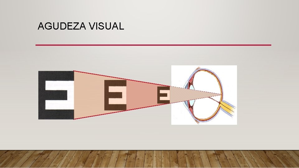 AGUDEZA VISUAL 