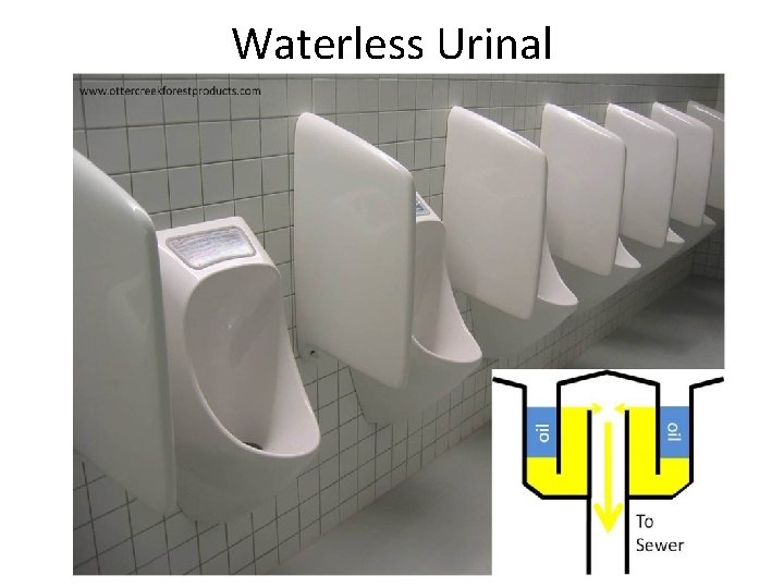 Waterless Urinal 