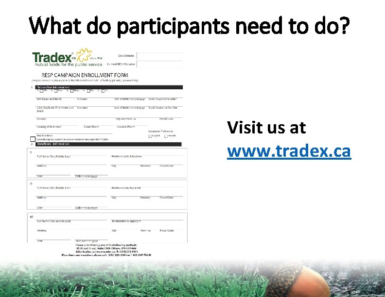 What do participants need to do? Visit us at www. tradex. ca 