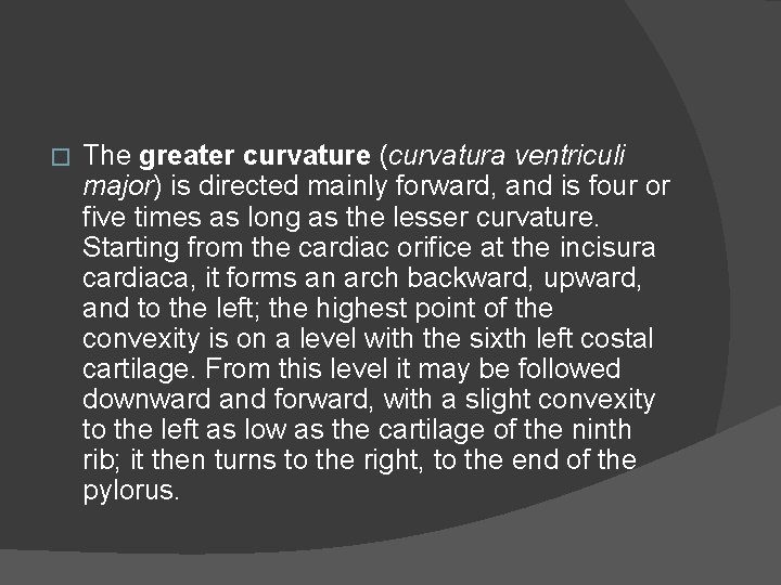 � The greater curvature (curvatura ventriculi major) is directed mainly forward, and is four
