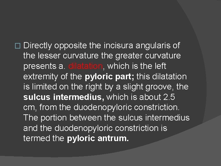 � Directly opposite the incisura angularis of the lesser curvature the greater curvature presents