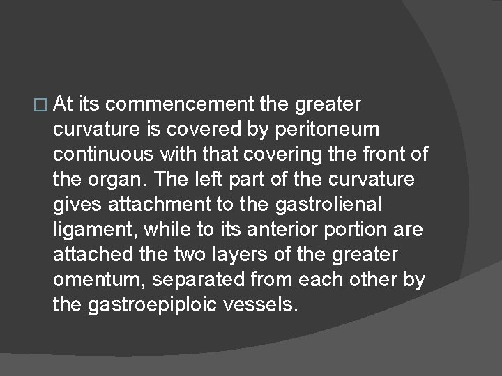 � At its commencement the greater curvature is covered by peritoneum continuous with that