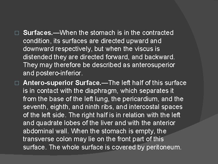 Surfaces. —When the stomach is in the contracted condition, its surfaces are directed upward