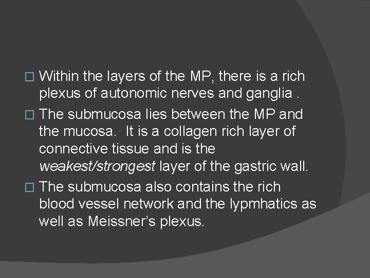 Within the layers of the MP, there is a rich plexus of autonomic nerves