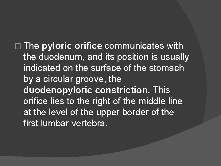 � The pyloric orifice communicates with the duodenum, and its position is usually indicated
