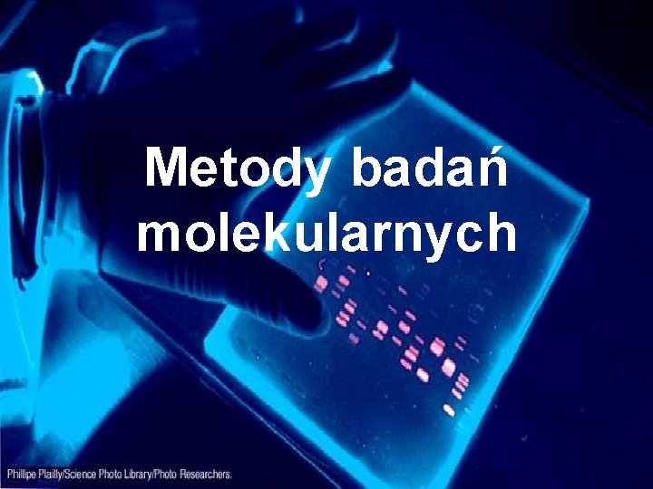 Metody badań molekularnych 