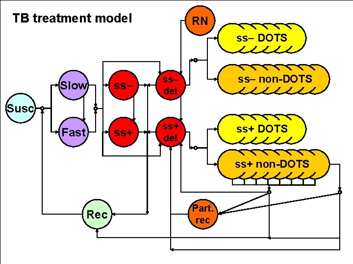 Introduction to infectious disease modelling Jamie LloydSmith Center
