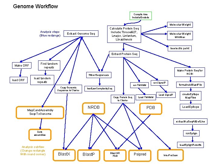 Genome Workflow Compile time Include/Exclude Molecular Weight Analysis steps (Blue rectange) Extract Genome Seq