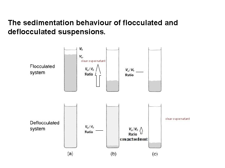 The sedimentation behaviour of flocculated and deflocculated suspensions. clear supernatant 