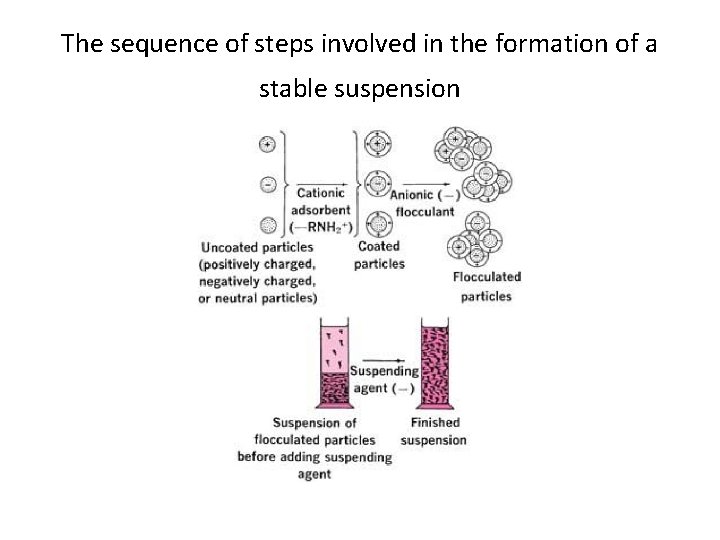 The sequence of steps involved in the formation of a stable suspension 