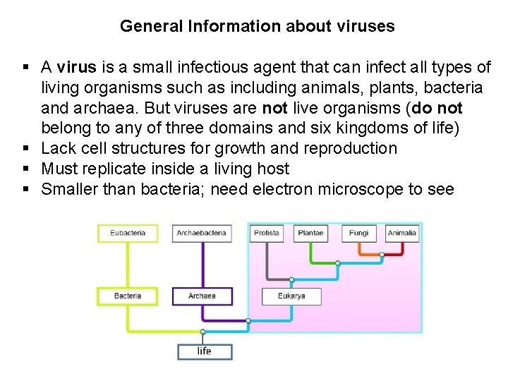 General Information about viruses § A virus is a small infectious agent that can