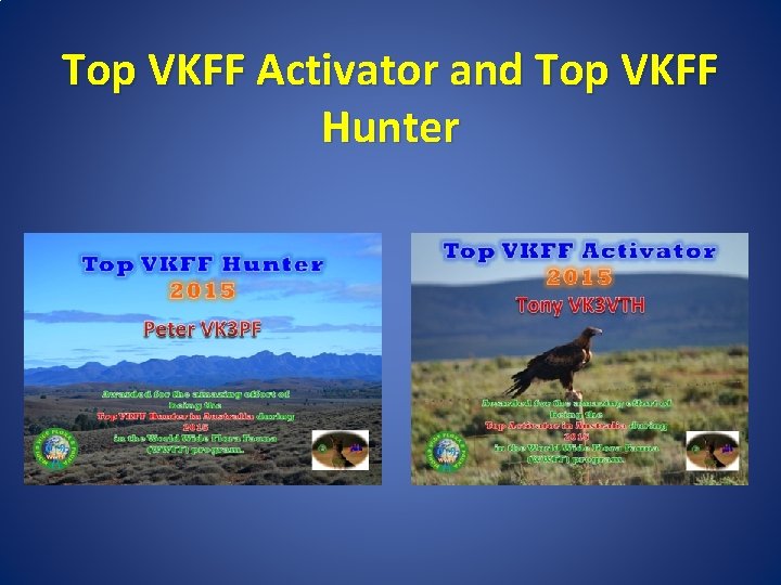 Top VKFF Activator and Top VKFF Hunter 