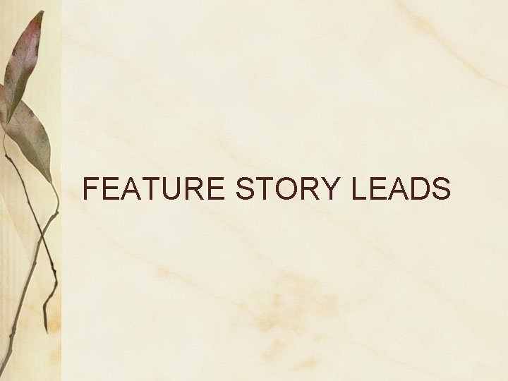 FEATURE STORY LEADS 