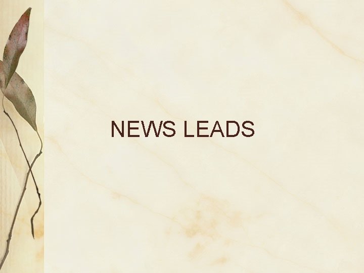 NEWS LEADS 