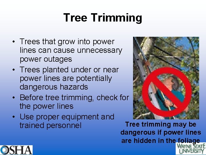 Tree Trimming • Trees that grow into power lines can cause unnecessary power outages
