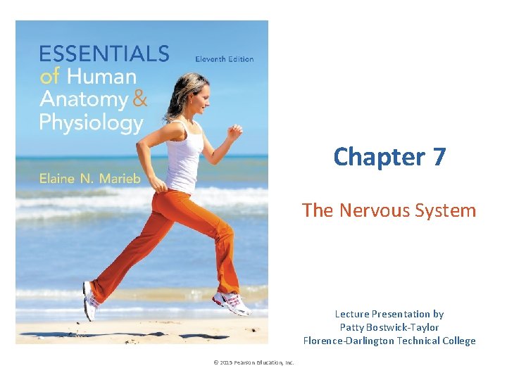 Chapter 7 The Nervous System Lecture Presentation by Patty Bostwick-Taylor Florence-Darlington Technical College ©