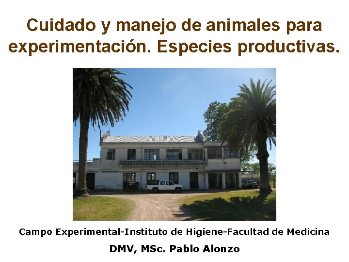 Cuidado y manejo de animales para experimentación. Especies productivas. Campo Experimental-Instituto de Higiene-Facultad de
