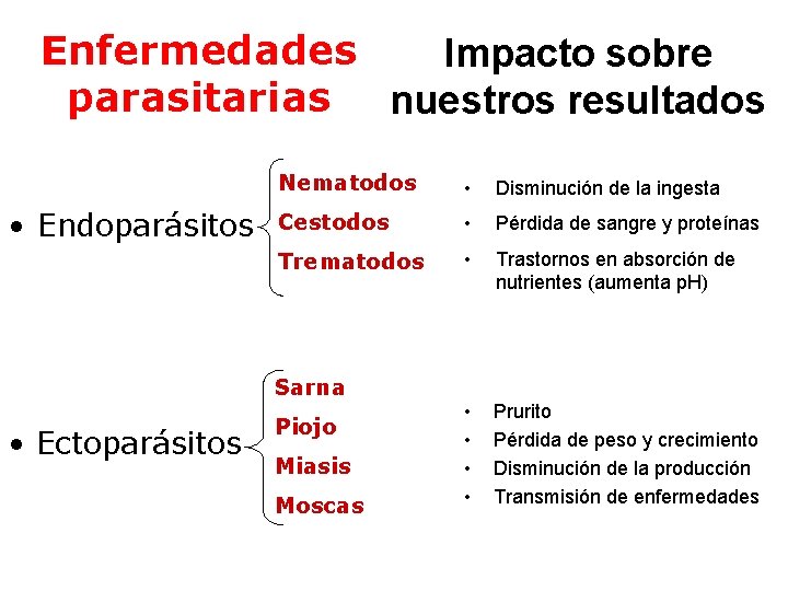 Enfermedades Impacto sobre parasitarias nuestros resultados • Endoparásitos Nematodos • Disminución de la ingesta