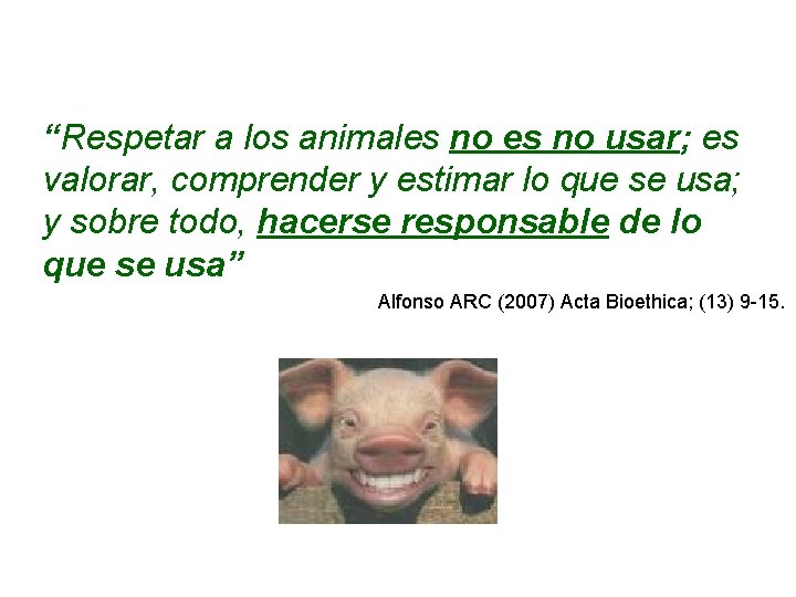 “Respetar a los animales no usar; es valorar, comprender y estimar lo que se