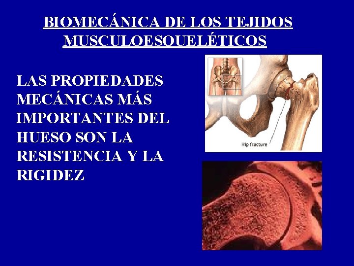 BIOMECÁNICA DE LOS TEJIDOS MUSCULOESQUELÉTICOS LAS PROPIEDADES MECÁNICAS MÁS IMPORTANTES DEL HUESO SON LA