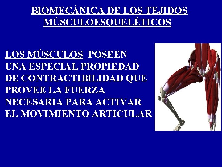 BIOMECÁNICA DE LOS TEJIDOS MÚSCULOESQUELÉTICOS LOS MÚSCULOS POSEEN UNA ESPECIAL PROPIEDAD DE CONTRACTIBILIDAD QUE