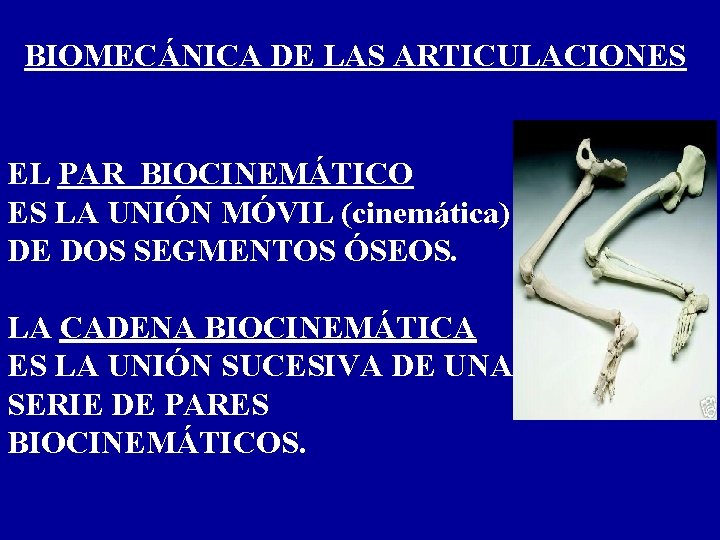 BIOMECÁNICA DE LAS ARTICULACIONES EL PAR BIOCINEMÁTICO ES LA UNIÓN MÓVIL (cinemática) DE DOS