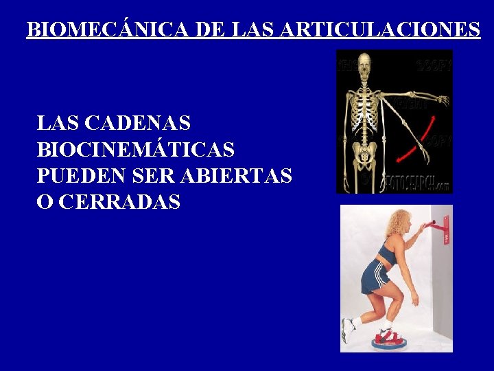 BIOMECÁNICA DE LAS ARTICULACIONES LAS CADENAS BIOCINEMÁTICAS PUEDEN SER ABIERTAS O CERRADAS 