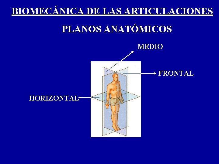 BIOMECÁNICA DE LAS ARTICULACIONES PLANOS ANATÓMICOS MEDIO FRONTAL HORIZONTAL 