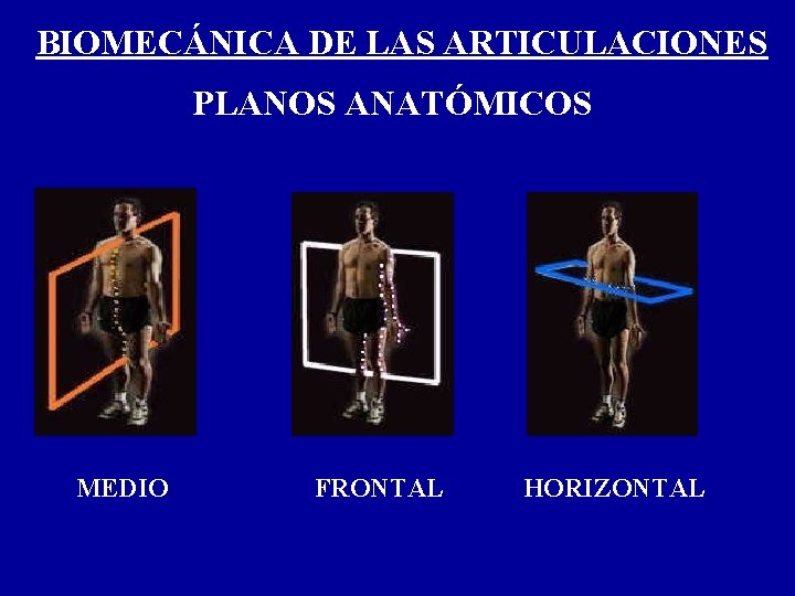 BIOMECÁNICA DE LAS ARTICULACIONES PLANOS ANATÓMICOS MEDIO FRONTAL HORIZONTAL 