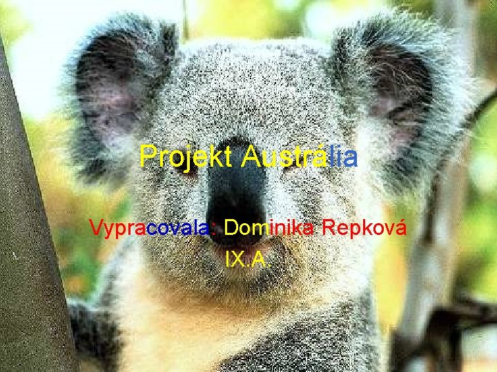 Projekt Austrália Vypracovala: Dominika Repková IX. A. 