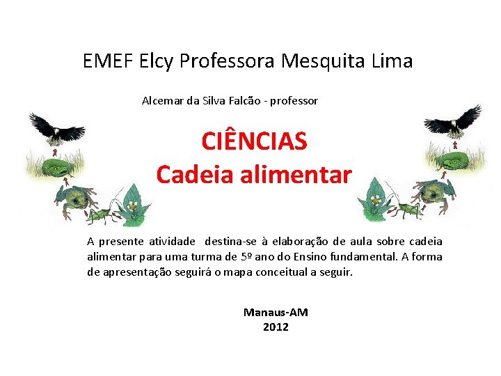 EMEF Elcy Professora Mesquita Lima Alcemar da Silva Falcão - professor CIÊNCIAS Cadeia alimentar