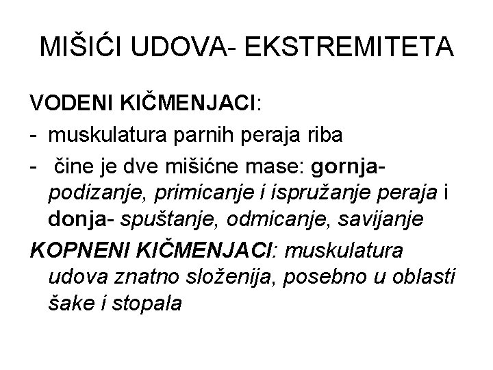 MIŠIĆI UDOVA- EKSTREMITETA VODENI KIČMENJACI: - muskulatura parnih peraja riba - čine je dve