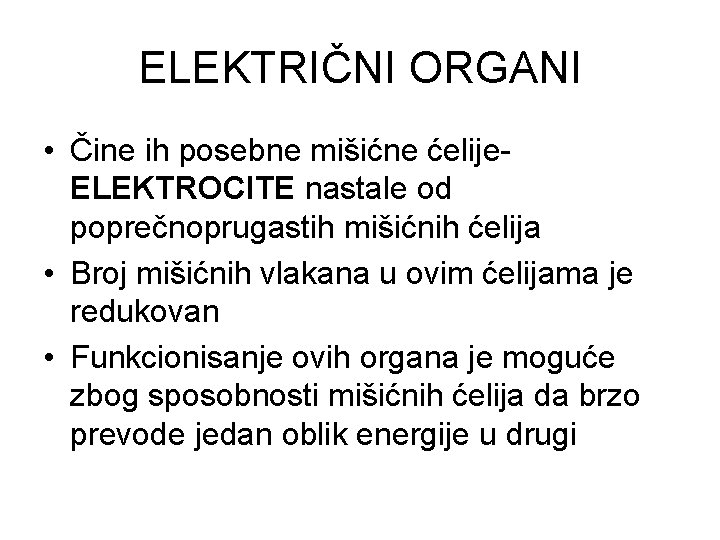 ELEKTRIČNI ORGANI • Čine ih posebne mišićne ćelije. ELEKTROCITE nastale od poprečnoprugastih mišićnih ćelija